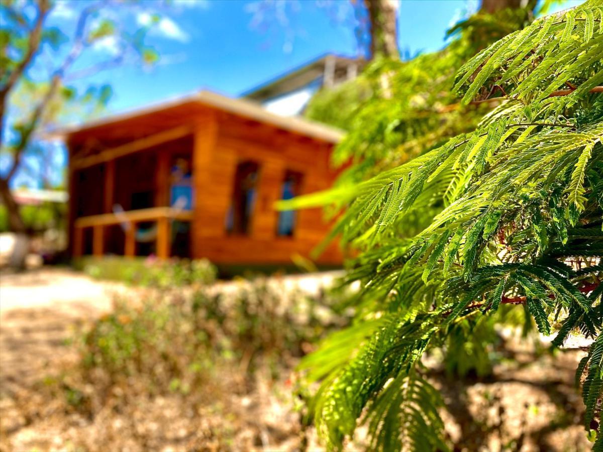 Hoja Azul * Hojancha
