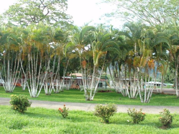 Chalet Hoja Azul Hojancha